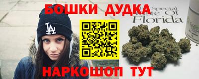 дмт Можга