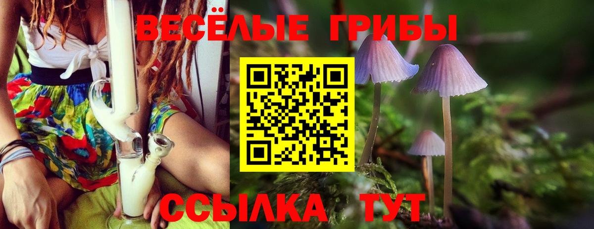 Урай  Псилоцибиновые грибы MAGIC MUSHROOMS  что такое наркотик  Вход с VPN 